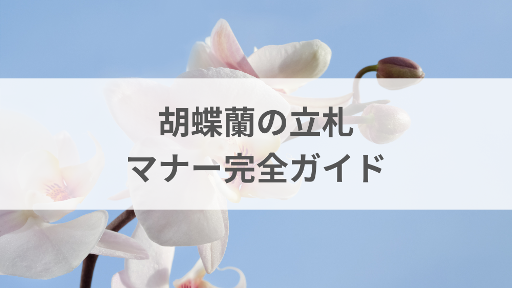 胡蝶蘭のお祝いに付ける立札の書き方とマナーが分かるイメージ