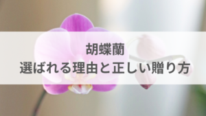 お祝いに胡蝶蘭が選ばれる理由と正しい贈り方を解説する記事のアイキャッチ画像